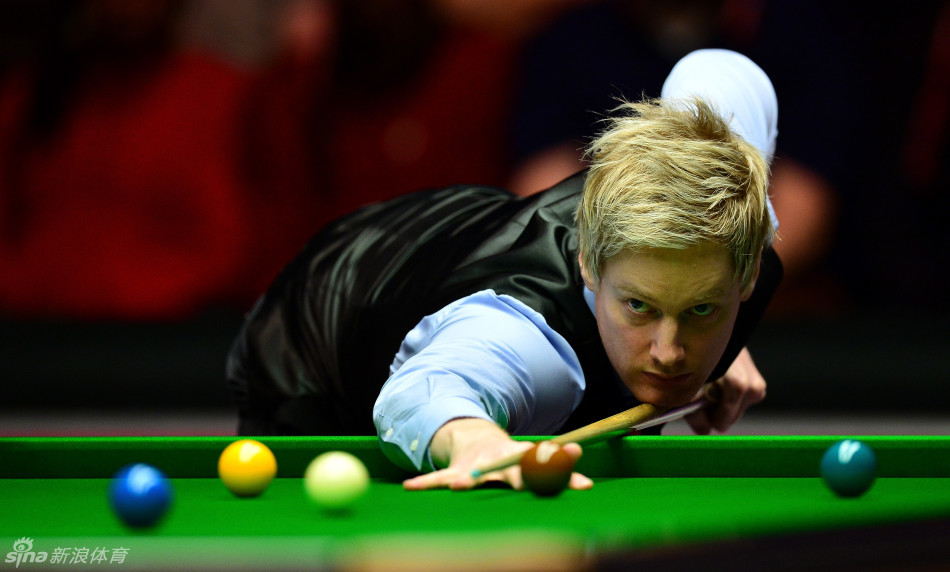 职业生涯的 职业生涯的